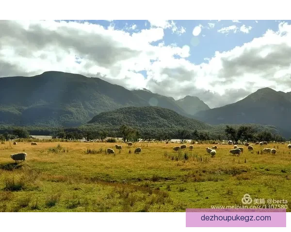 格莱诺基骑士女足惨遭德文波特城前锋女足完败 0比3失利